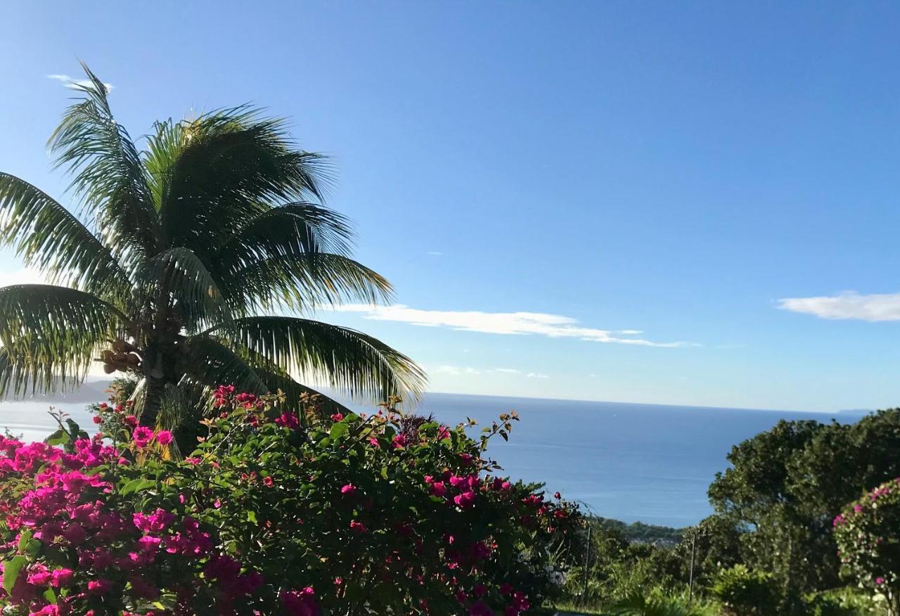 Bel appartement privé, magnifique vue sur la mer des Caraibes et jardin clos, WiFi, à 2mn de la plage Sainte-Luce Esterno foto